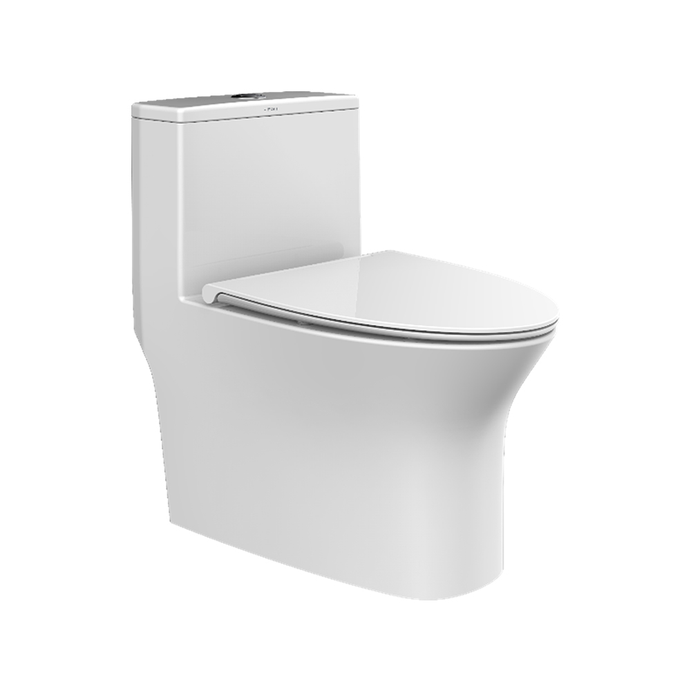 HC0601DT超旋風節水坐便器